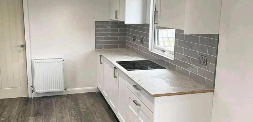 42×12 tri-axle 2 double bedrooms, 1 with built-in wardrobe. Open plan kitchen & living room, LPG Glow Worm boiler. Full bathroom with step up bath. Patio doors, one peak,